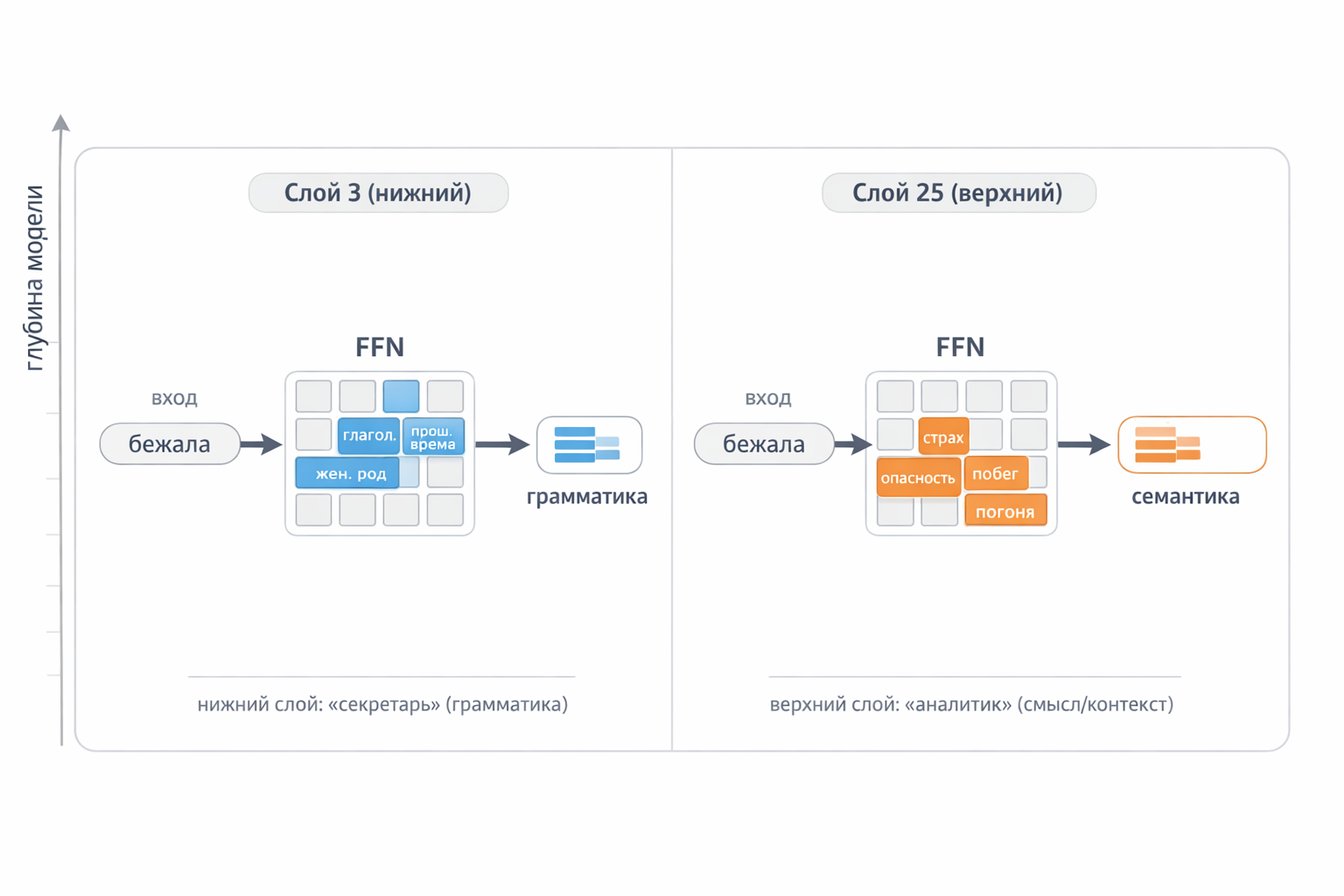 Fig. 8. FFN across layers: the word &ldquo;ran&rdquo; at layer 3 (grammar) and layer 25 (semantics)